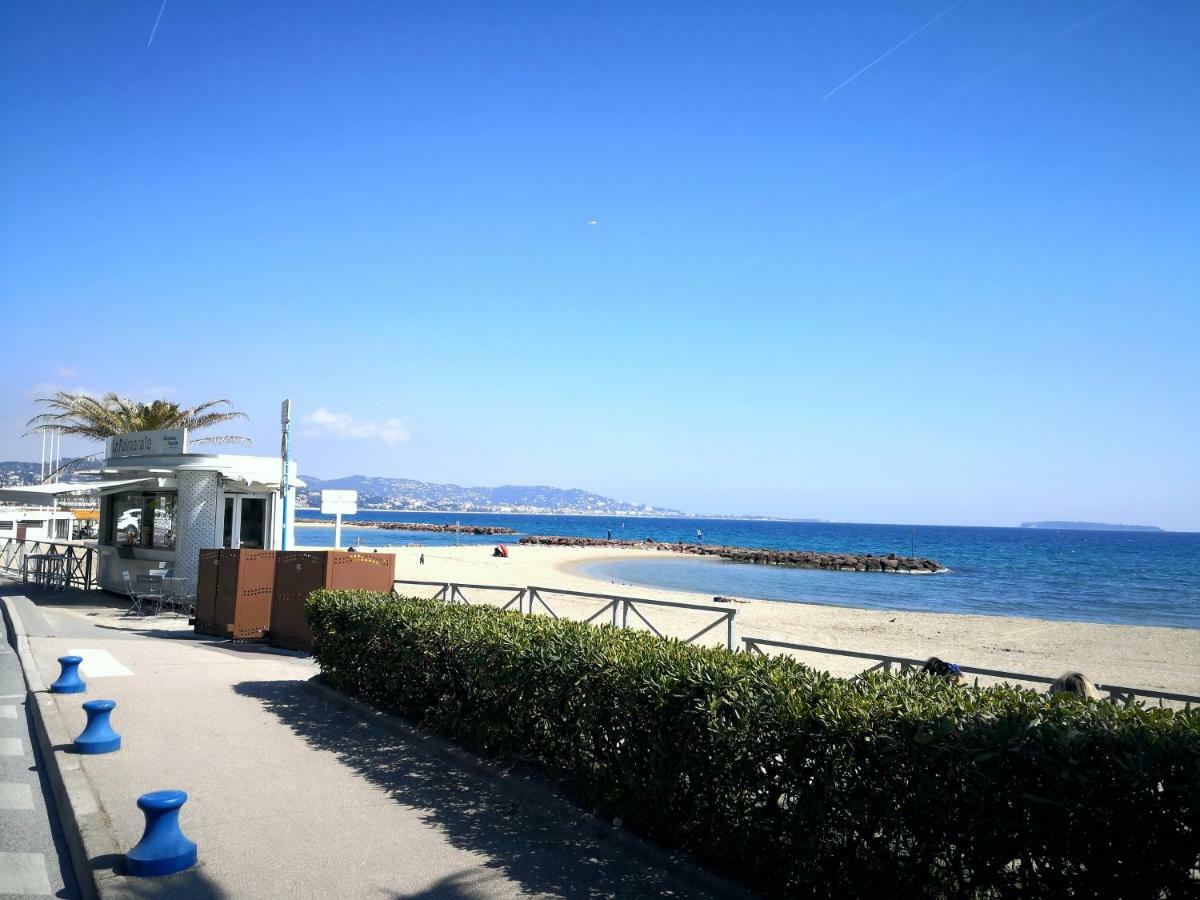Studio Cannes Marina Mandelieu Exteriér fotografie